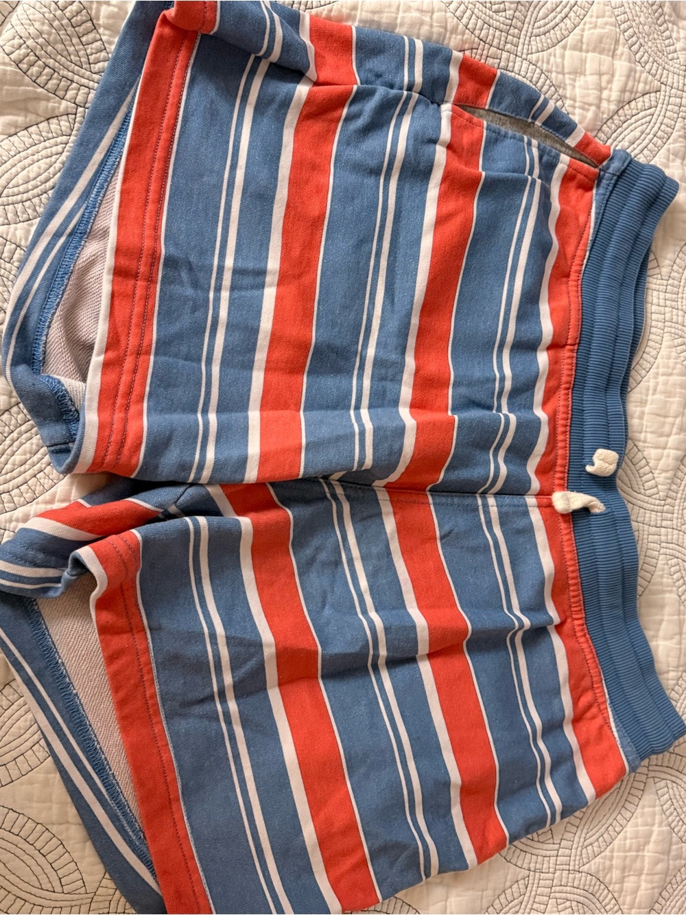 chubbies Blue & Red Striped Athletic Shorts